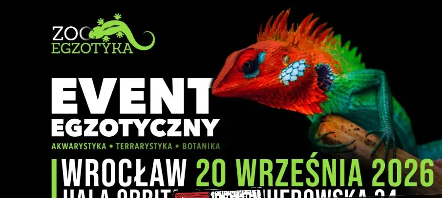ZooEgzotyka Wrocław!